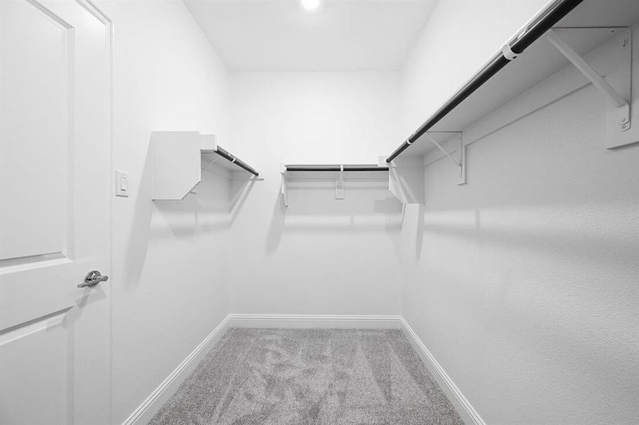 1417 Zapateado Way 1417 Zapateado Way