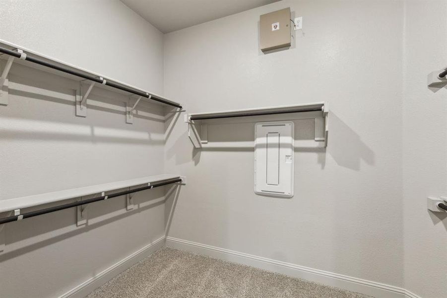 10-3629Maize_010 10-3629Maize_010