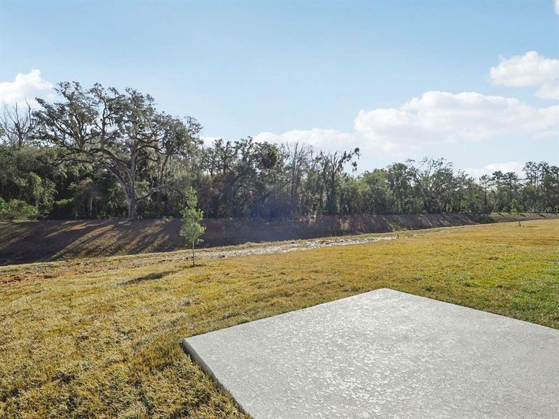 Natural landscape and outdoor views near Leyland Preserve - Classic Series in Brooksville (Image 36).