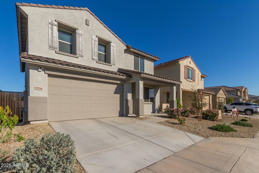 03 - Seldon 03 - Seldon