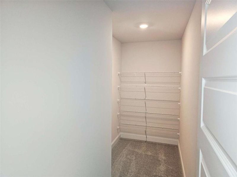 Spacious, unfurnished interior of a new home in Scarlett Place, Bowdon (Image 15).