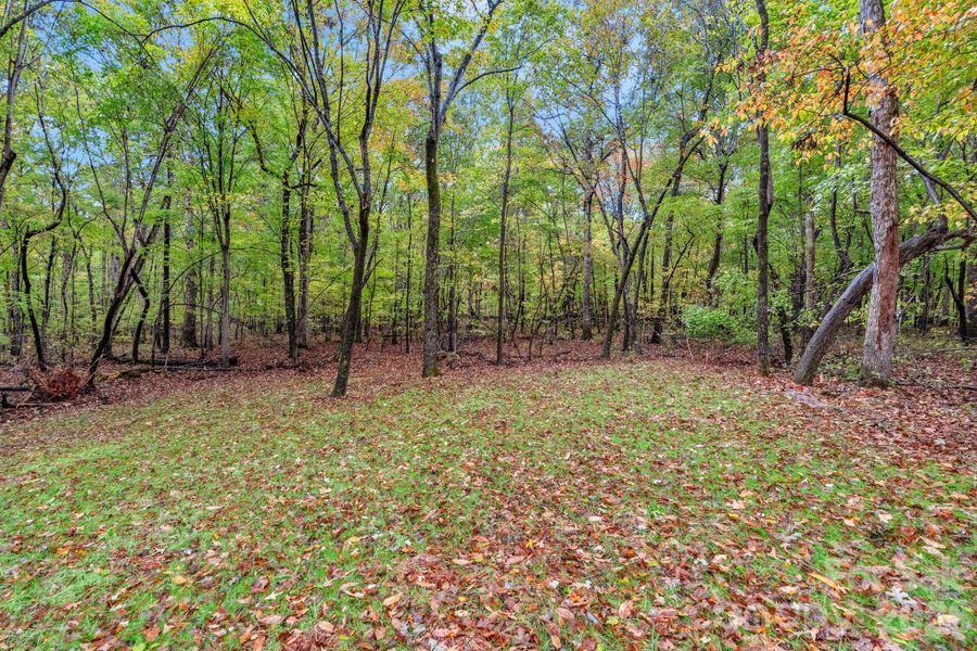 Natural landscape and outdoor views near  in Monroe (Image 36).