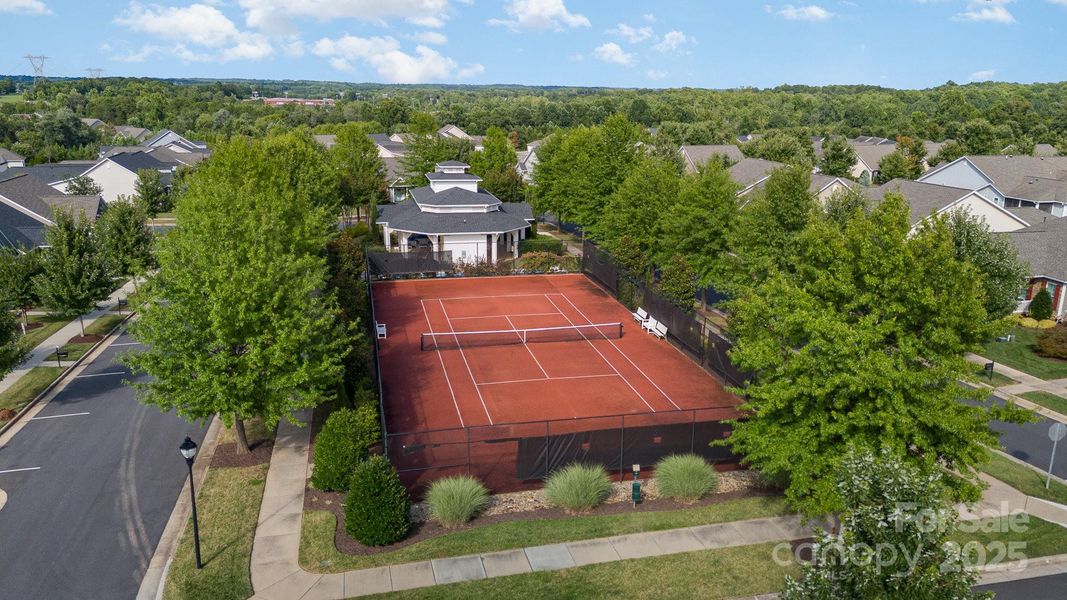 Tennis anyone? Tennis anyone?