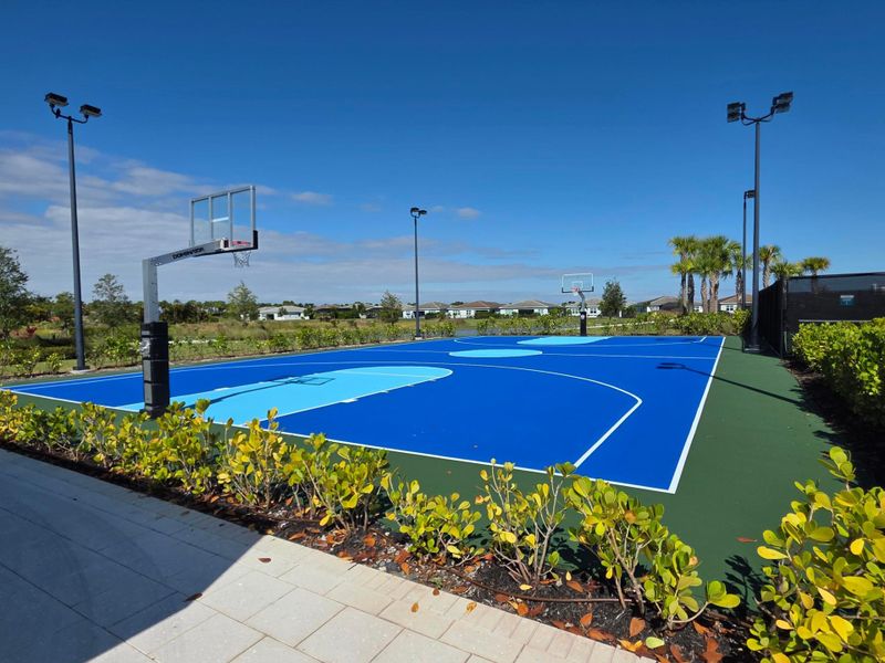 Basketball court