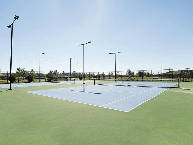 Tennis ball courts