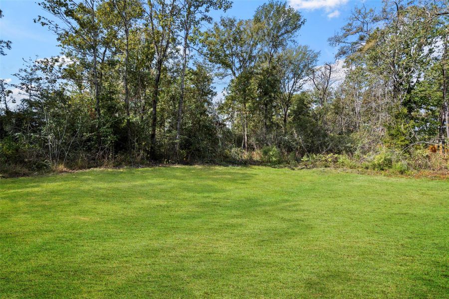 Natural landscape and outdoor views near Oakwood Ranch in Willis (Image 24). Natural landscape and outdoor views near Oakwood Ranch in Willis (Image 24).