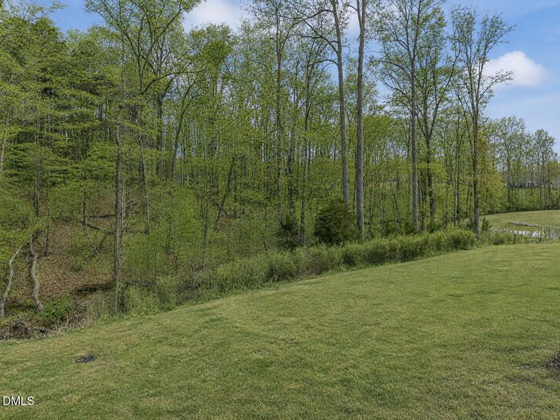 Enjoy private tree lined views Enjoy private tree lined views