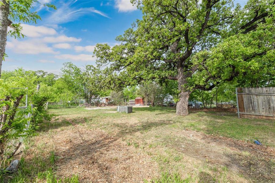 Natural landscape and outdoor views near  in Brownwood (Image 28).