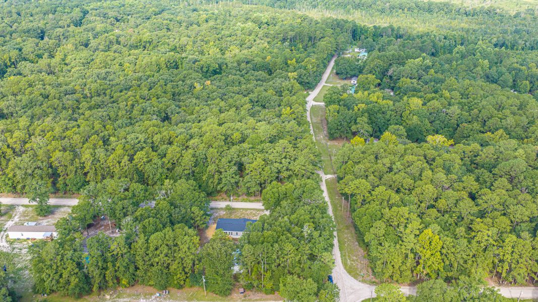 Natural landscape and outdoor views near  in Walterboro (Image 76).