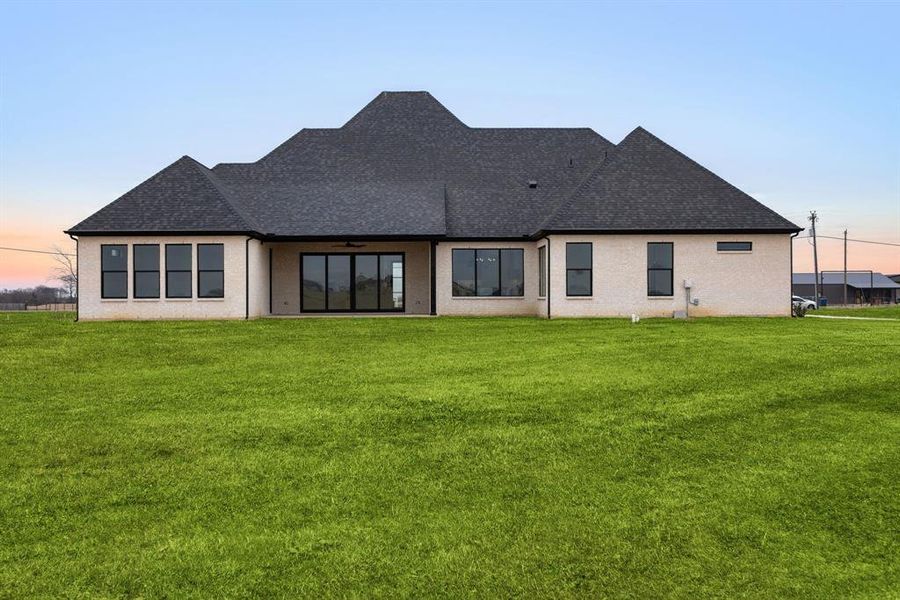 Back house at dusk with a lawn. Grass is virtually filled in.