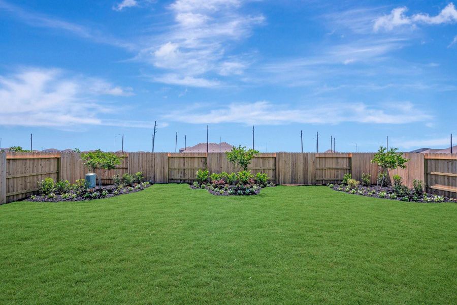 Amazing backyard! Amazing backyard!