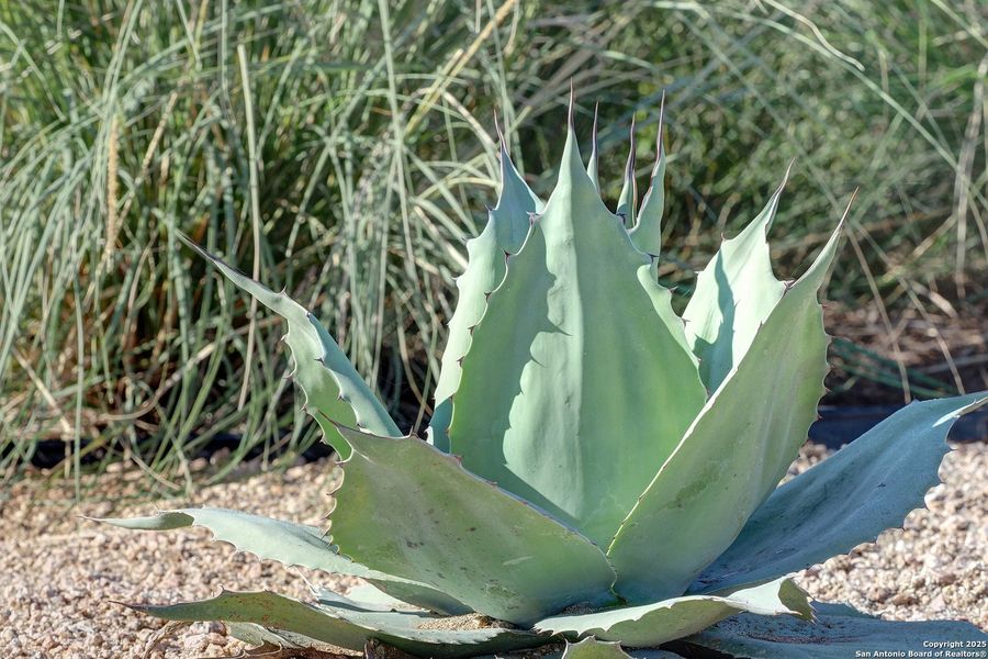 Image 32 of a home in Veramendi 60'.