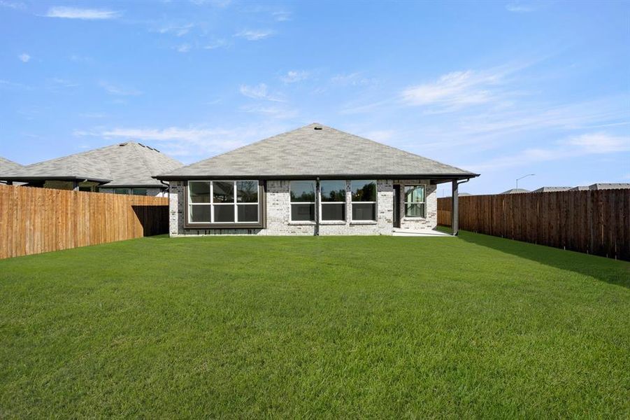 10360 Tapioca- Back-2 10360 Tapioca- Back-2