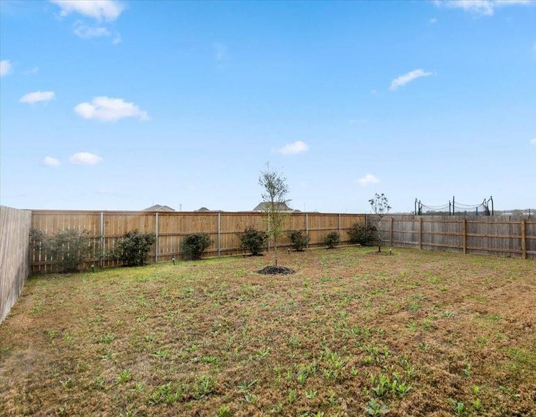 View of fenced backyard