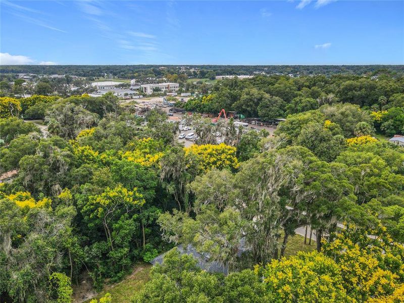 Natural landscape and outdoor views near  in Deland (Image 39).