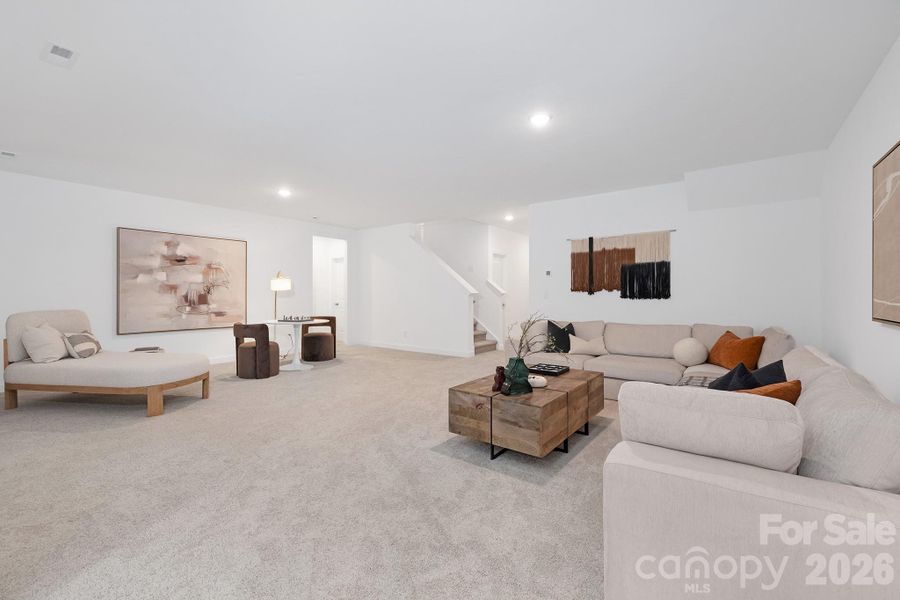 Basement Recreational area