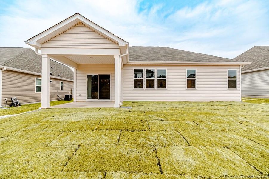 Rear View Enhanced Grass