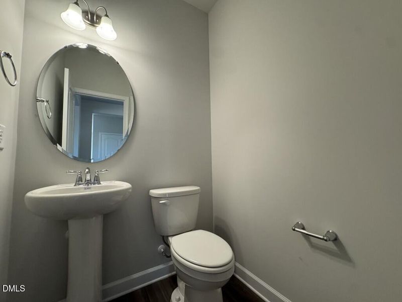 Photo Nov 16 2025, 3 46 31 PM (Medium)