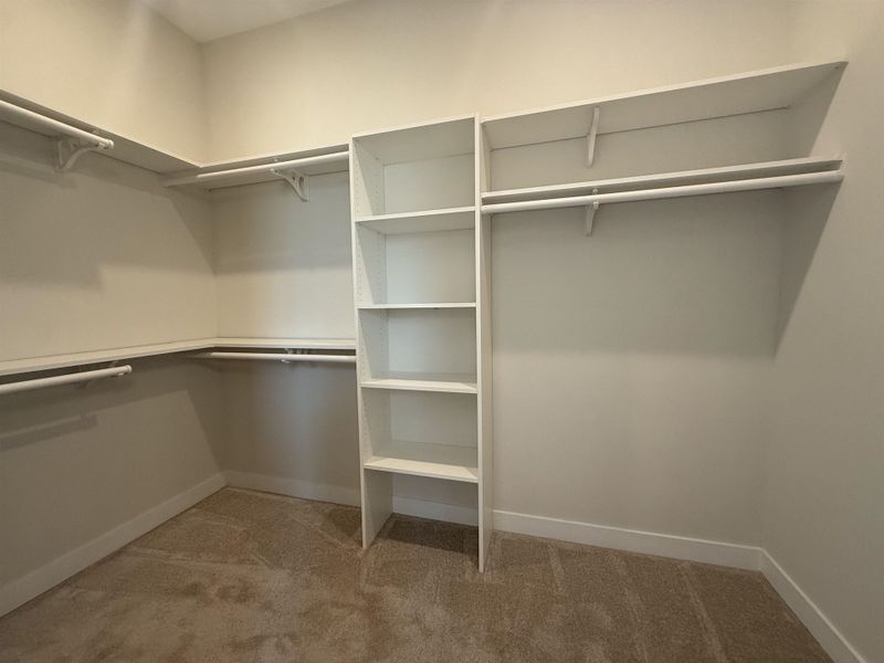 Walk in closet with light colored carpet