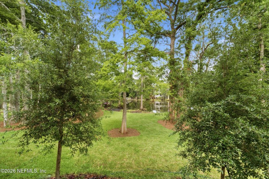 Natural landscape and outdoor views near in Jacksonville (Image 48). Natural landscape and outdoor views near in Jacksonville (Image 48).