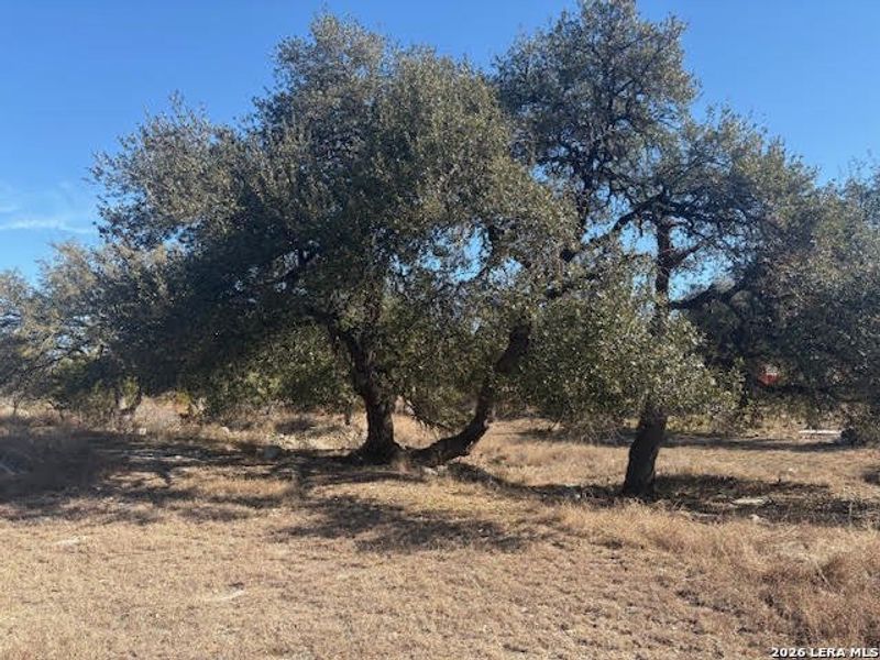 Natural landscape and outdoor views near  in Spring Branch (Image 9).