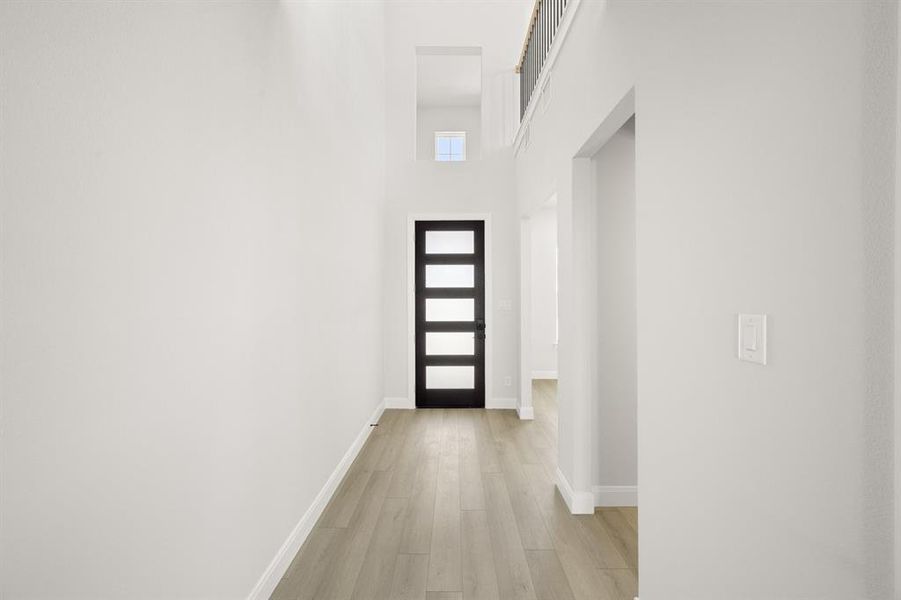 16953 Leatherflower- Entry-1