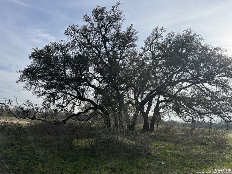 Image 14 of a home in .