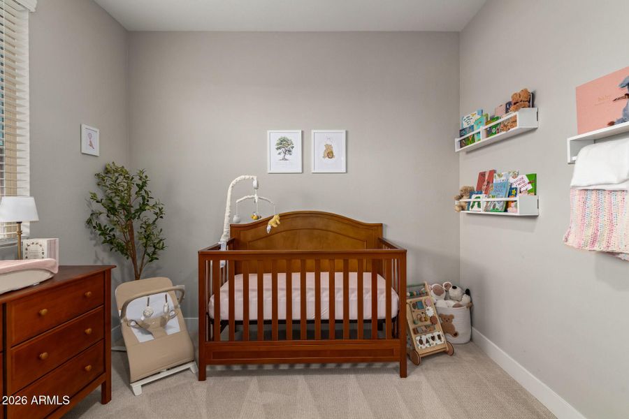 24-Wollemi 24-Wollemi