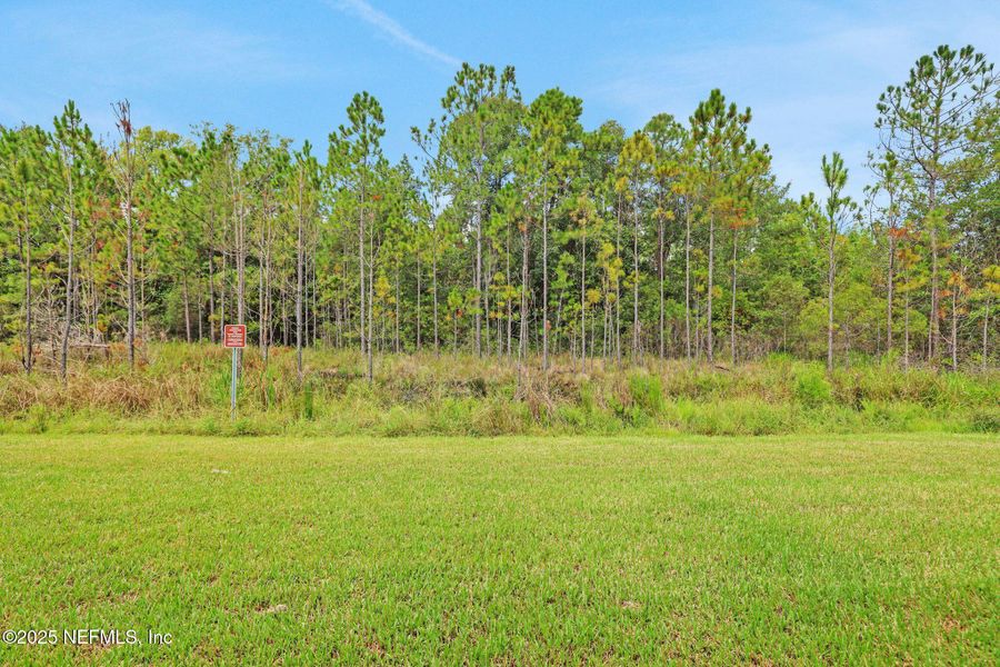 Image 29 of a home in Atlantis Pointe.