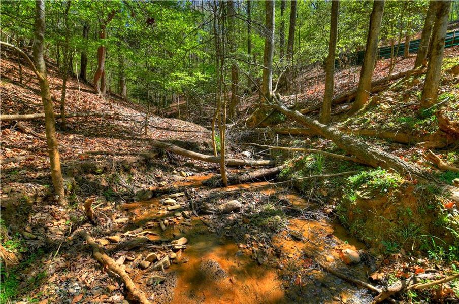 Natural landscape and outdoor views near  in Ellijay (Image 52).