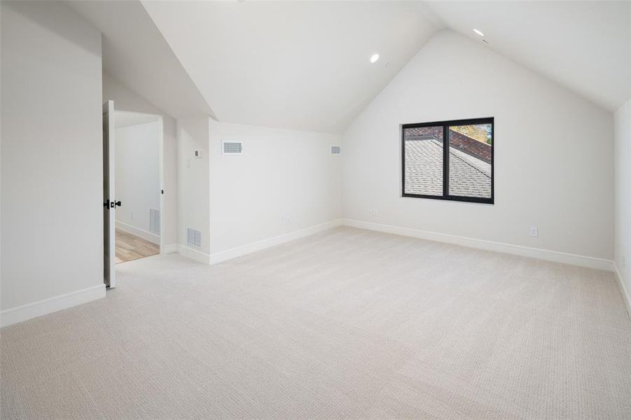 Additional living space featuring light colored carpet and lofted ceiling