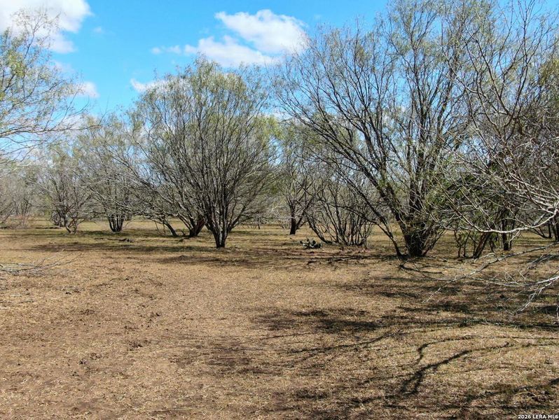 Natural landscape and outdoor views near  in Stockdale (Image 12).