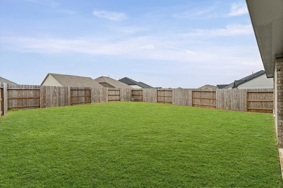 Large backyard Large backyard