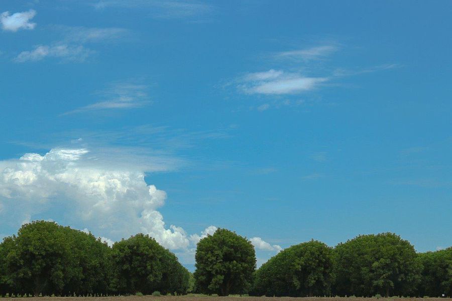 Natural landscape and outdoor views near Sahuarita Acres in Sahuarita (Image 37). Natural landscape and outdoor views near Sahuarita Acres in Sahuarita (Image 37).