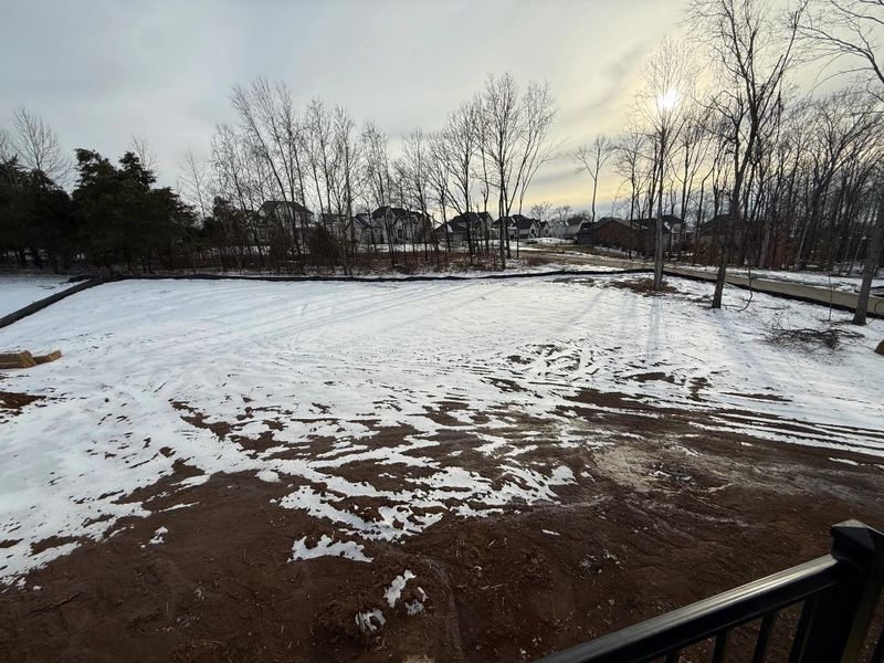 The Waylon A The Waylon A