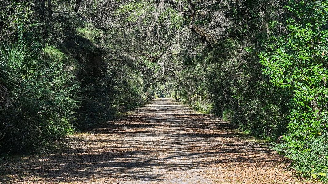 Natural landscape and outdoor views near Colbert Landings in Palm Coast (Image 94).