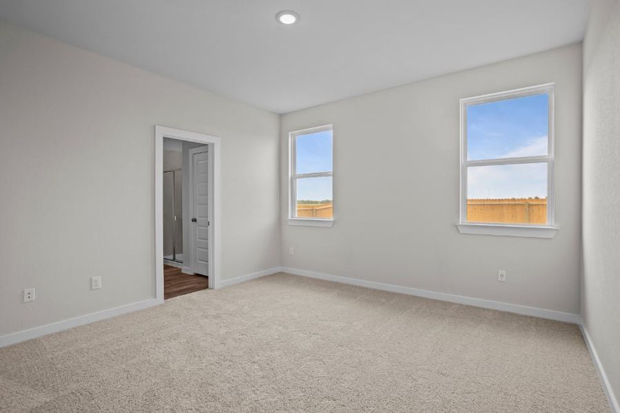 A room with a carpet and windows.