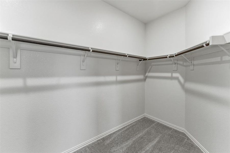 Walk in closet with dark carpet