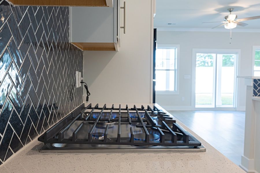 Image 54 representing the Barnard II by Great Southern Homes in Shady Grove, Conway, SC.