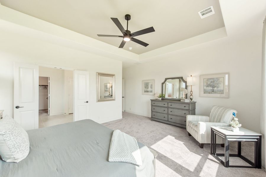 Spacious master bedroom with tray ceiling, ceiling fan, gray dresser, and walk-in closet access Spacious master bedroom with tray ceiling, ceiling fan, gray dresser, and walk-in closet access