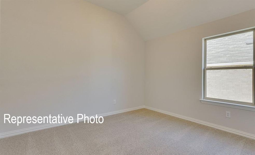 Empty room featuring lofted ceiling and carpet flooring