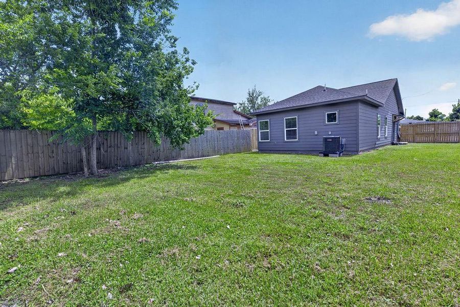 Large Backyard