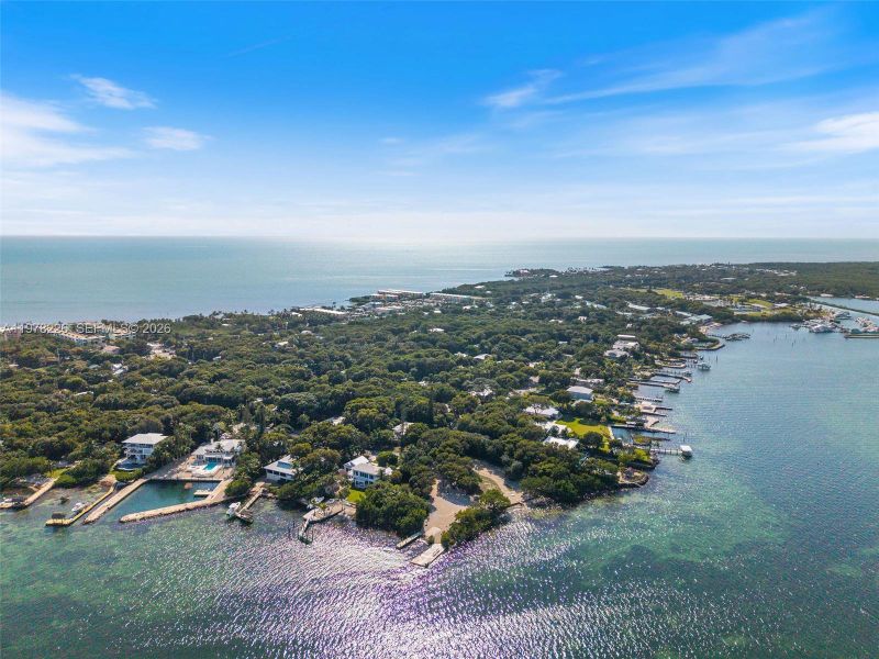 Natural landscape and outdoor views near  in Islamorada, Village of Islands (Image 85).