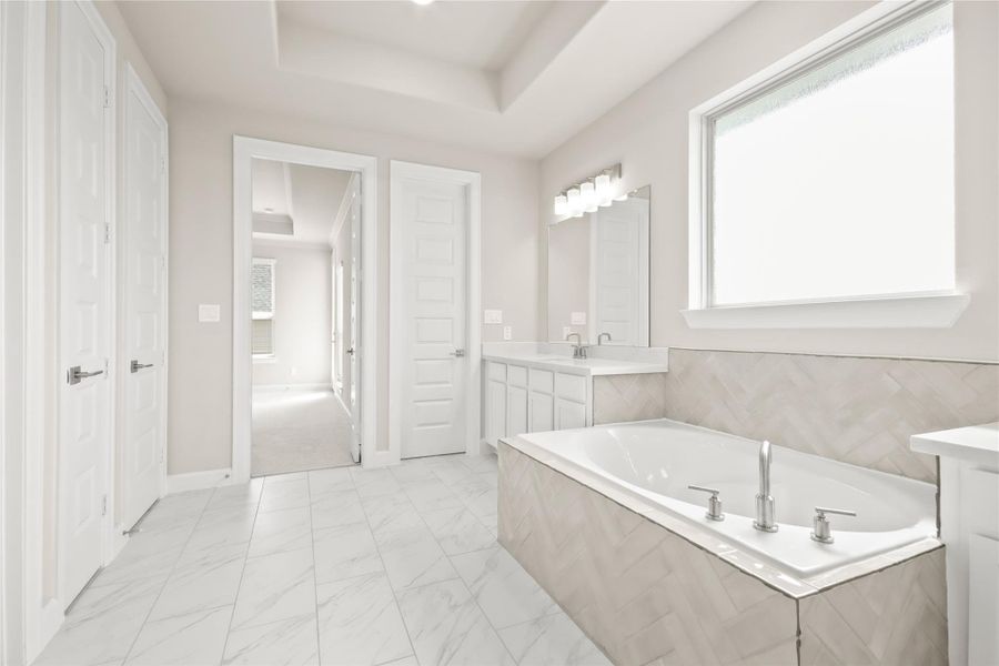 Spa-like owner's bath