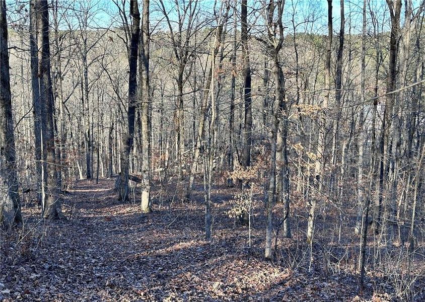 Natural landscape and outdoor views near  in Cumming (Image 25).
