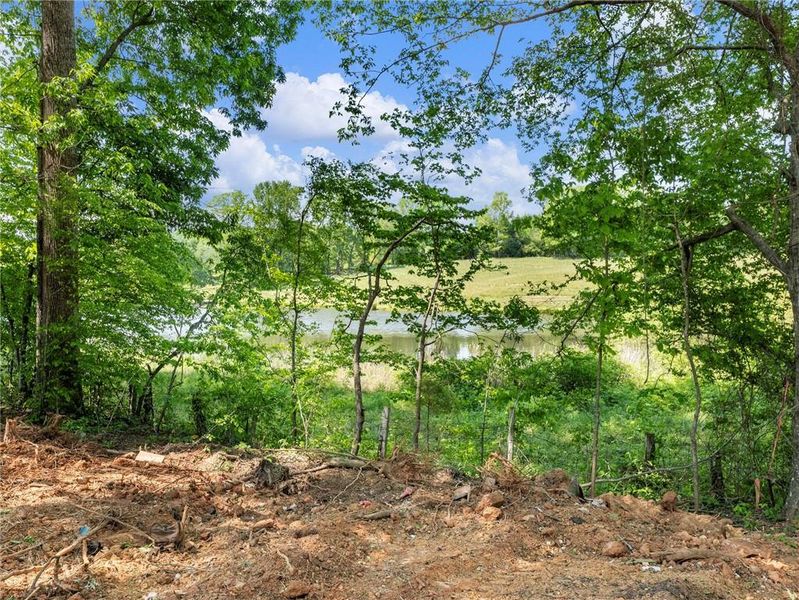 Natural landscape and outdoor views near  in Gainesville (Image 36).