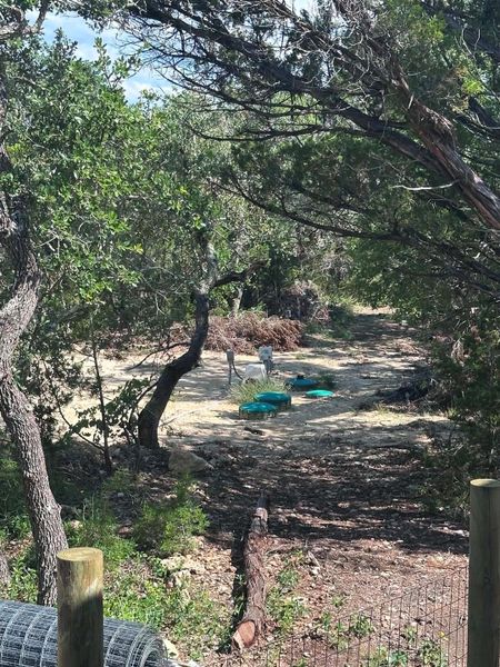 A secluded, wooded lot awaits your vision, ready for development.