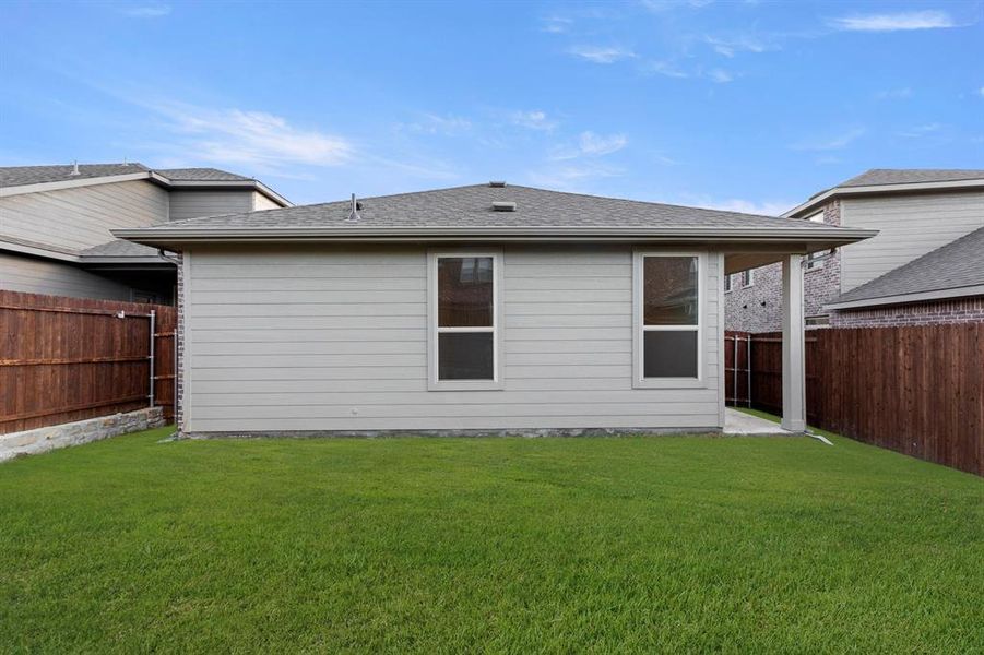 27. 3118 Yellow Pine - Back