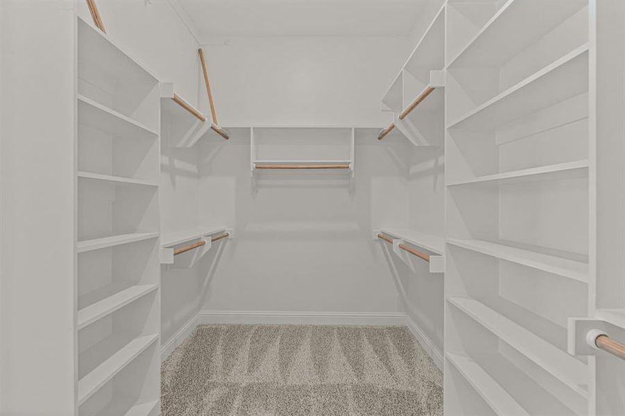 Spacious closet featuring carpet flooring