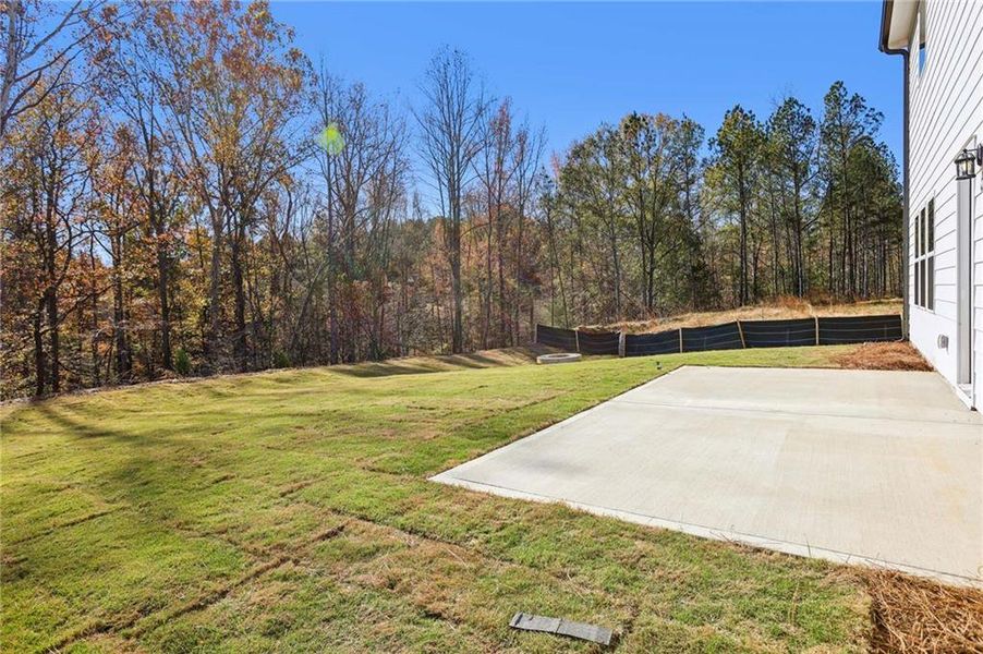 Exterior details and patio area of a home in Arbors at Richland Creek, Buford (Image 19).